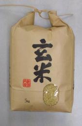 大野市の上田輝司さん夫妻がが作ったコシヒカリ玄米5Kg